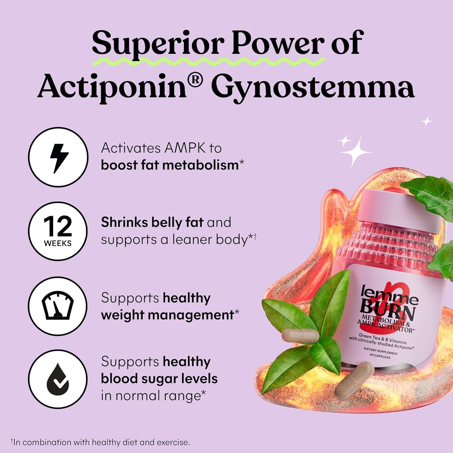 Lemme Burn - Metabolism, Belly Fat Burning + AMPK Activating Supplement 60 Count