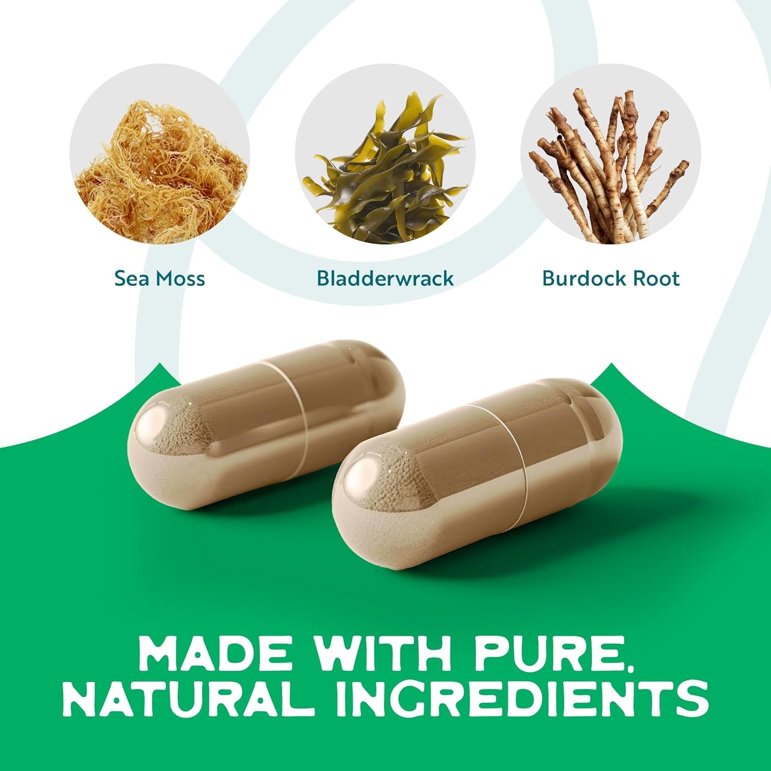 Herbal Vineyards Organic Wildcrafted Vegetable 60 Capsules | 1500MG | Powerful Immunity Booster