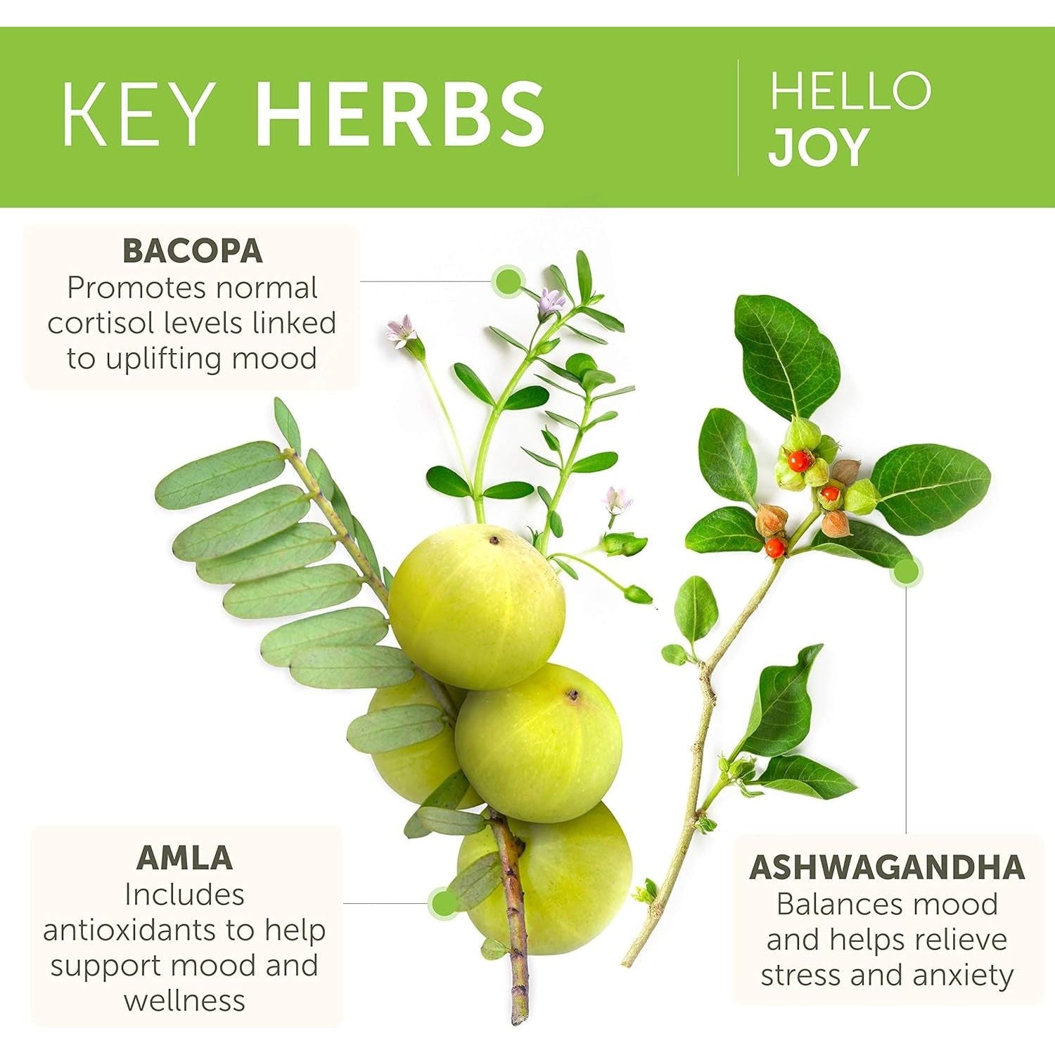 Himalaya Hello Joy Herbal Supplement, Supports Motivation, Stress Relief, Balanced Cortisol 60 Capsules