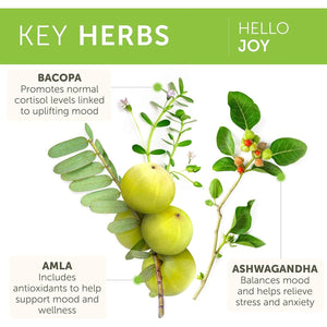 Himalaya Hello Joy Herbal Supplement, Supports Motivation, Stress Relief, Balanced Cortisol 60 Capsules
