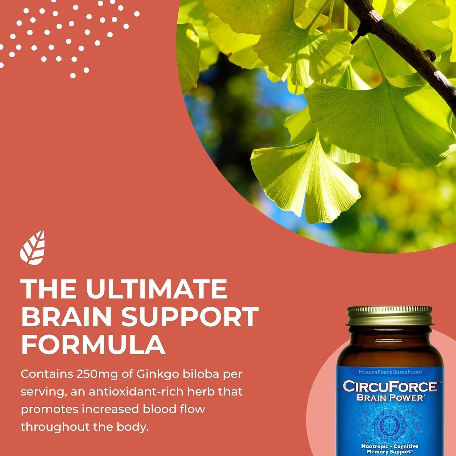 Healthforce Superfoods Circuforce Brain Power - 90 Vegancaps