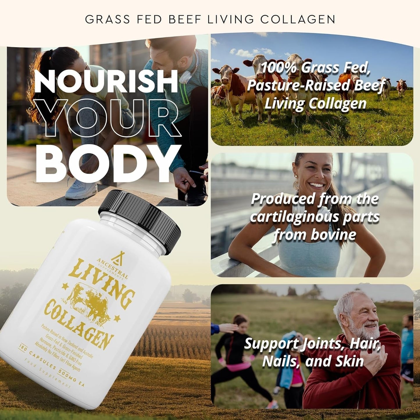 Ancestral Supplements Grass Fed Beef Living Collagen Nutritional Powder Supplement, 3000Mg 180 Capsules