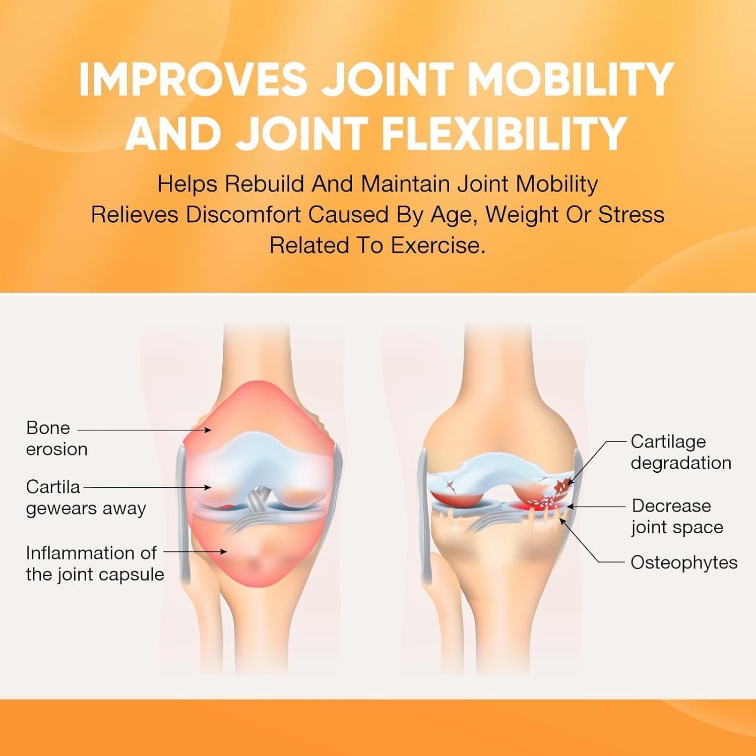 Glucosamine Chondroitin MSM+ Vitamin D3 | 2568Mg | Joint Support Supplement
