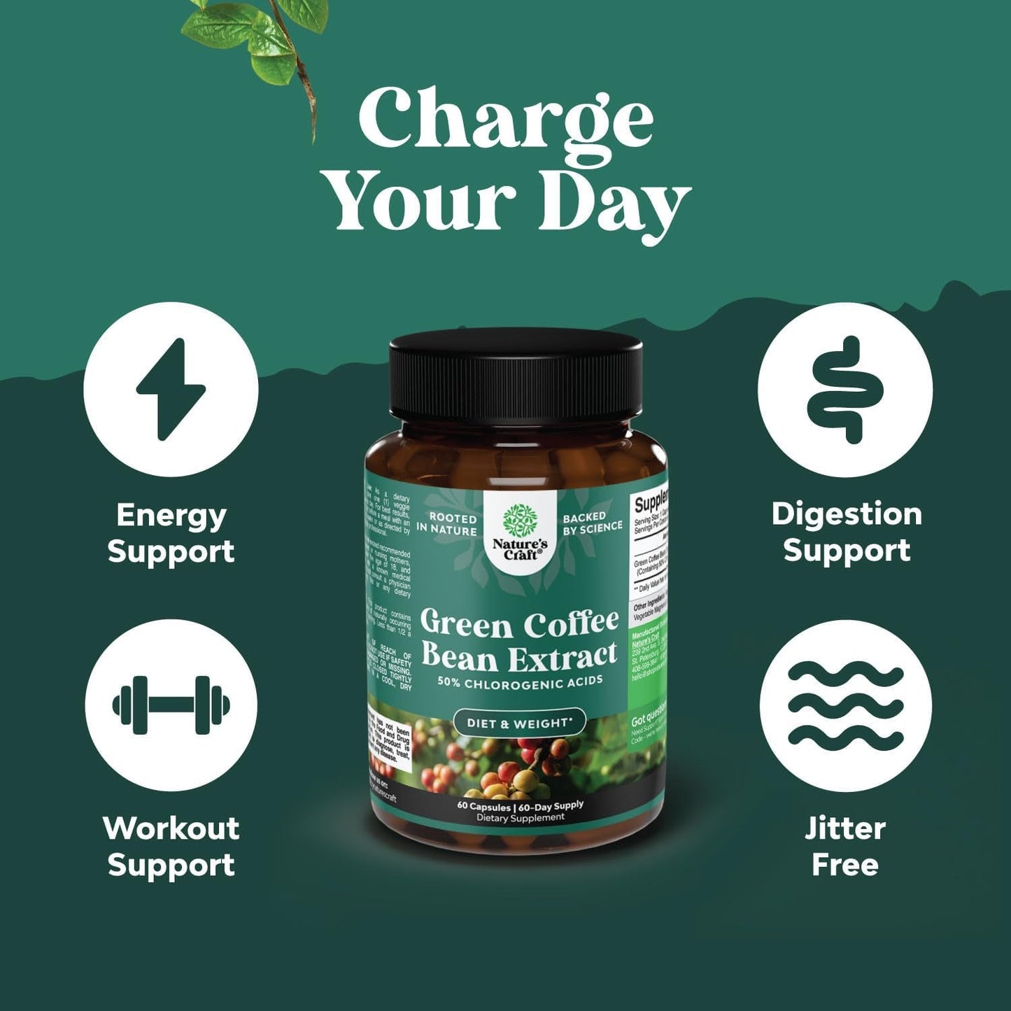 Green Coffee Bean Extract for Weight Loss - Natural Appetite Suppressant