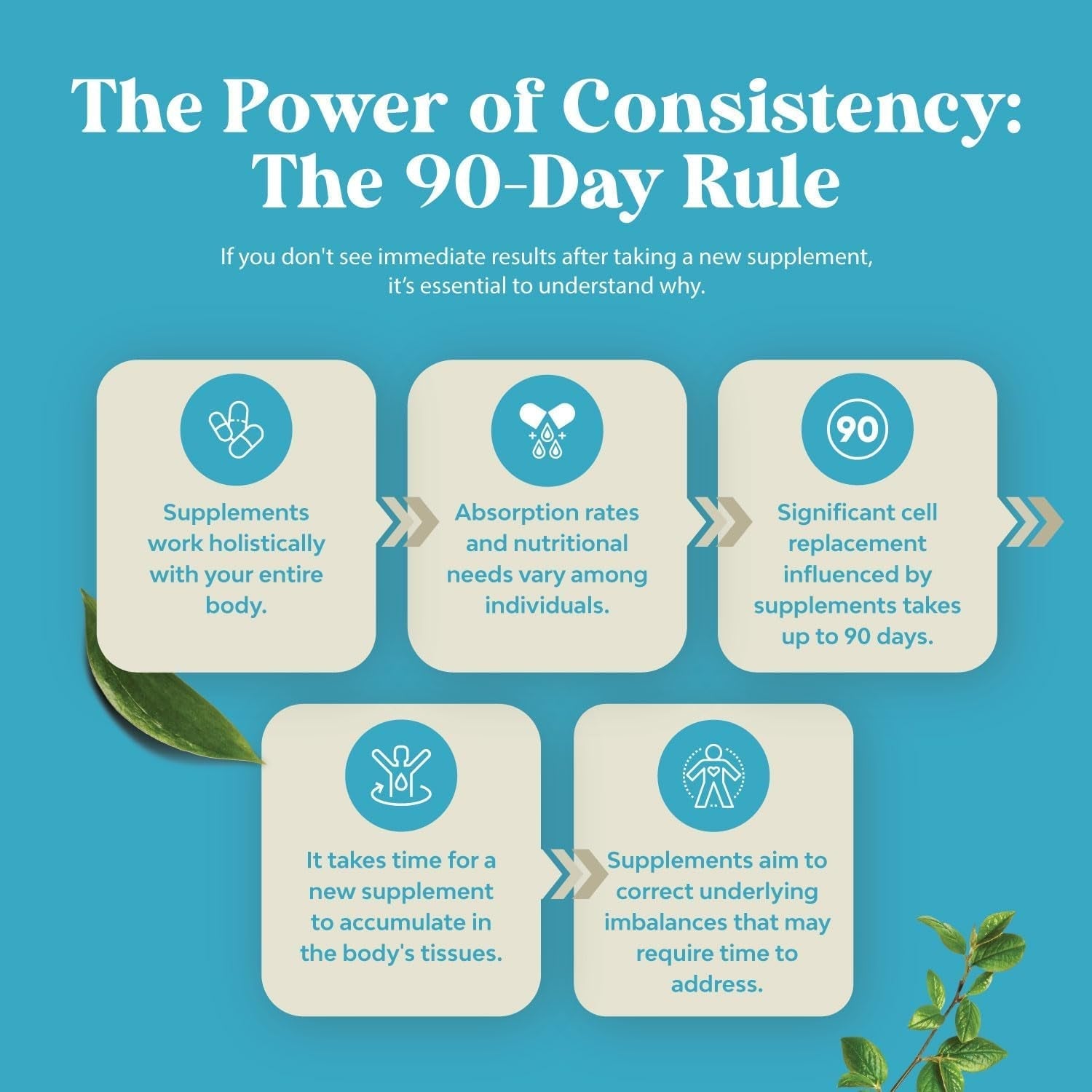 DHEA 50Mg for Enhanced Energy and Hormone Balance (4 Month Supply)