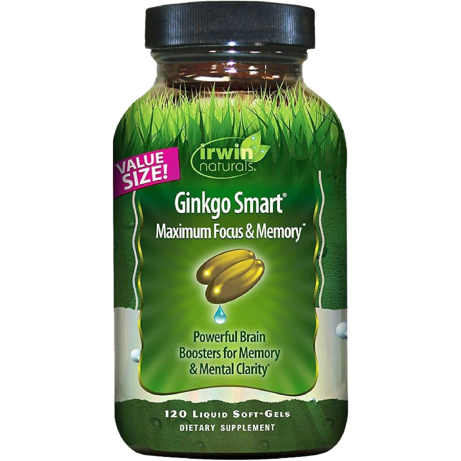 Irwin Naturals Ginkgo Smart Powerful Nootropic Brain Booster - Supports Maximum Memory, Focus & Mental Clarity 120 Liquid Softgels