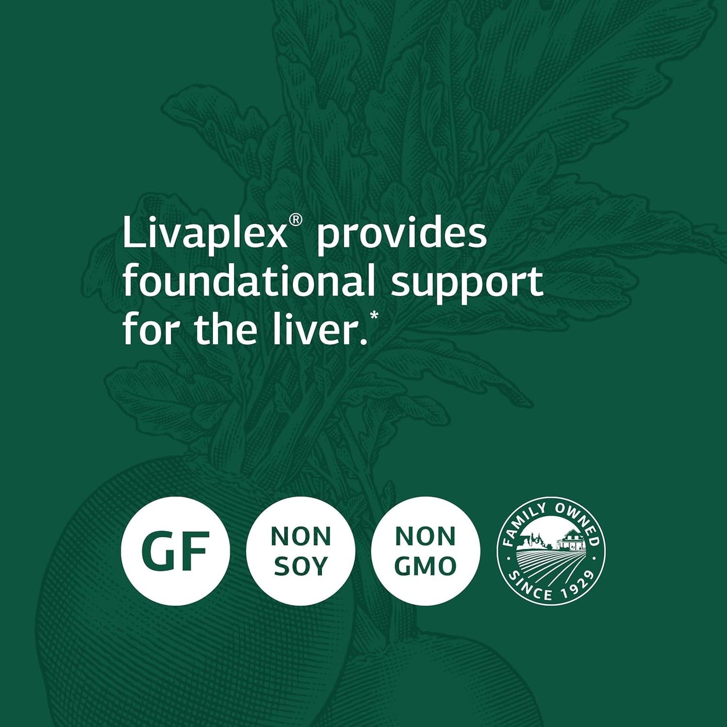 Standard Process Livaplex - Whole Food Bowel, Digestion and Digestive Health, Liver Health and Gallbladder Support 90 Capsules