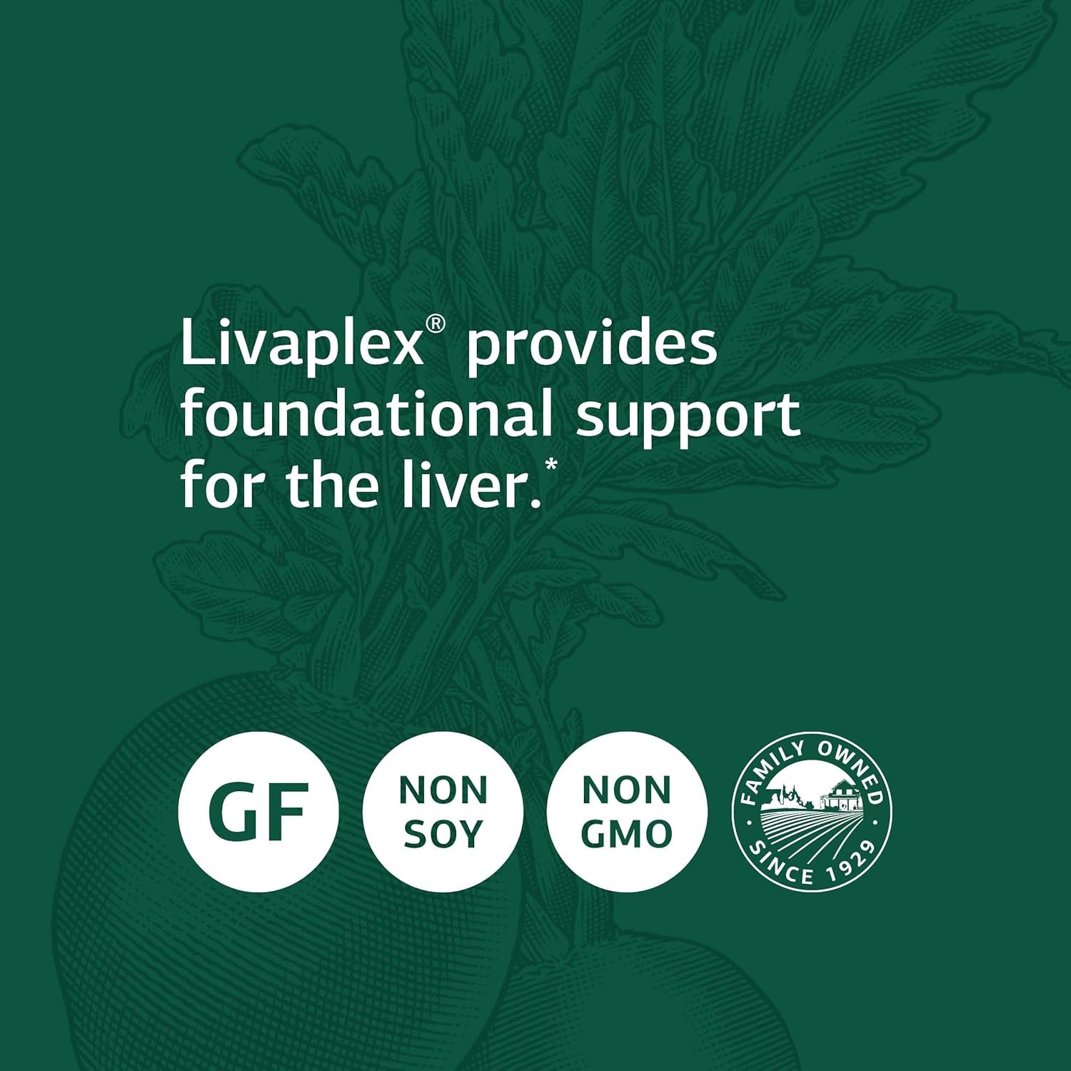 Standard Process Livaplex - Whole Food Bowel, Digestion and Digestive Health, Liver Health and Gallbladder Support 90 Capsules