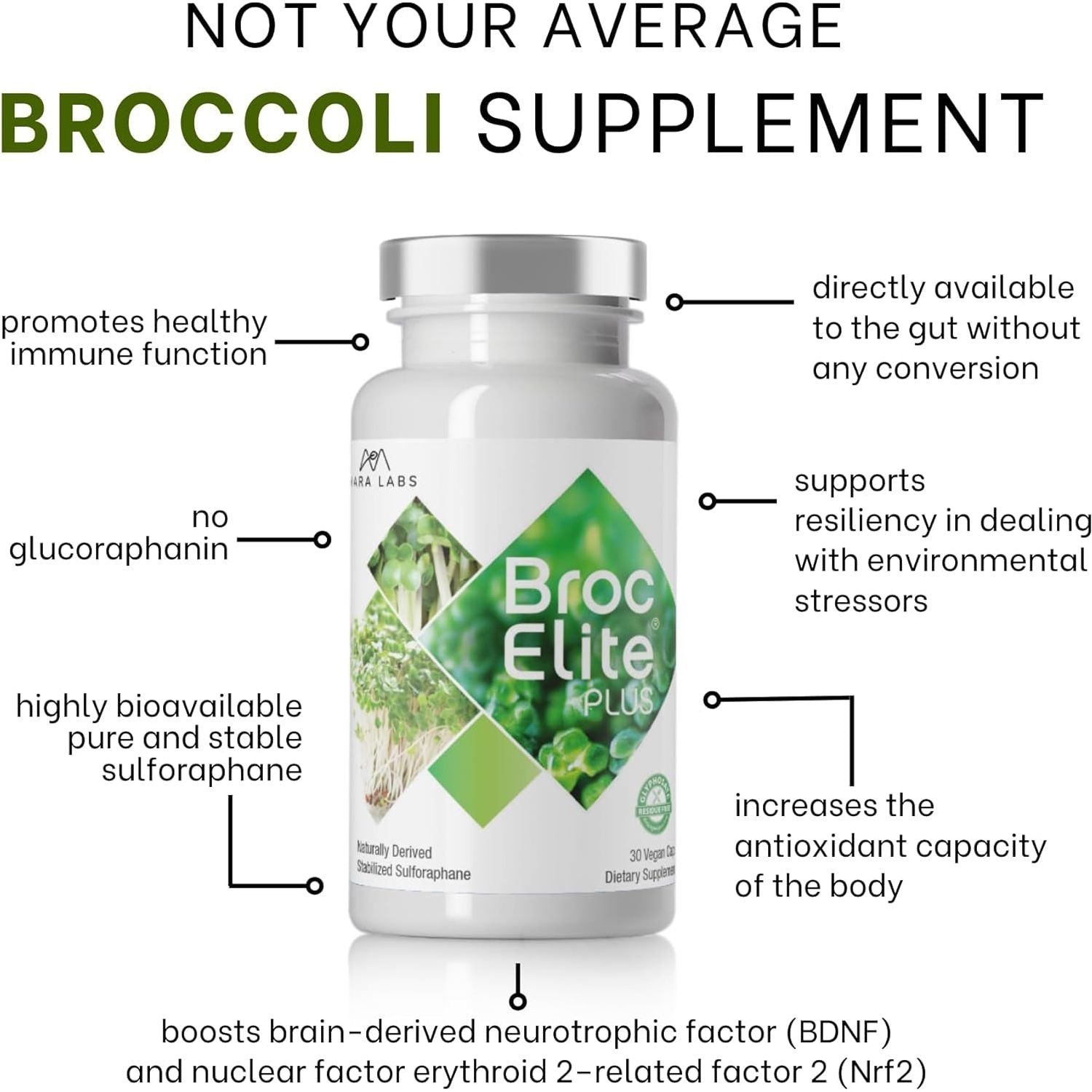 Mara Labs Broc Elite plus | Broccoli Supplement W/Stabilized Sulforaphane Extract | 30 Vegetable Capsules