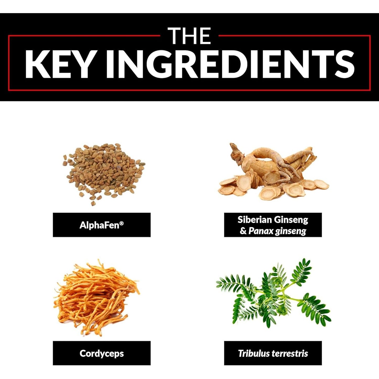 FORCE FACTOR Test X180 Legend Testosterone Booster to Build Muscle & Strength, Performance 120 Capsules