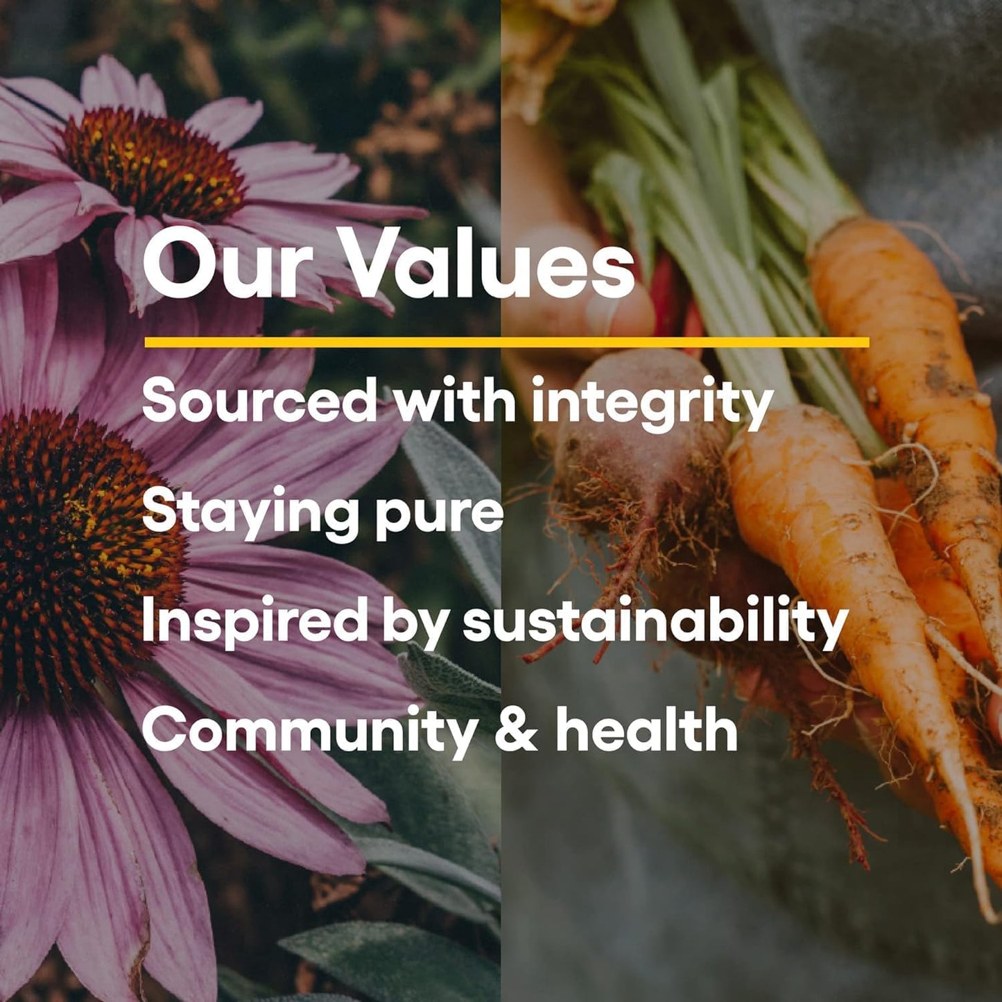 Stress-Relax Chewable Pharma GABA 100 Mg by Natural Factors, Non-Drowsy Stress Support for Relaxation and Mental Focus 120 Tablets