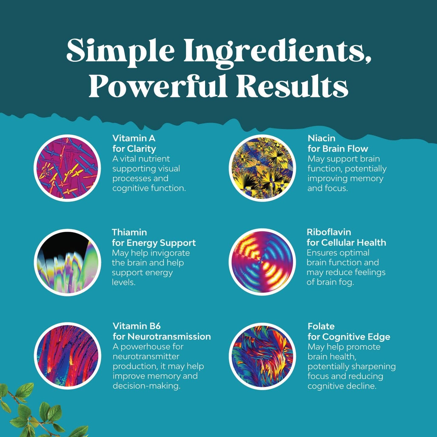 Advanced Nootropics - Synergetic Mental Energy and Focus Supplement with Brain Vitamins for Cognitive Enhancement (30 Servings)