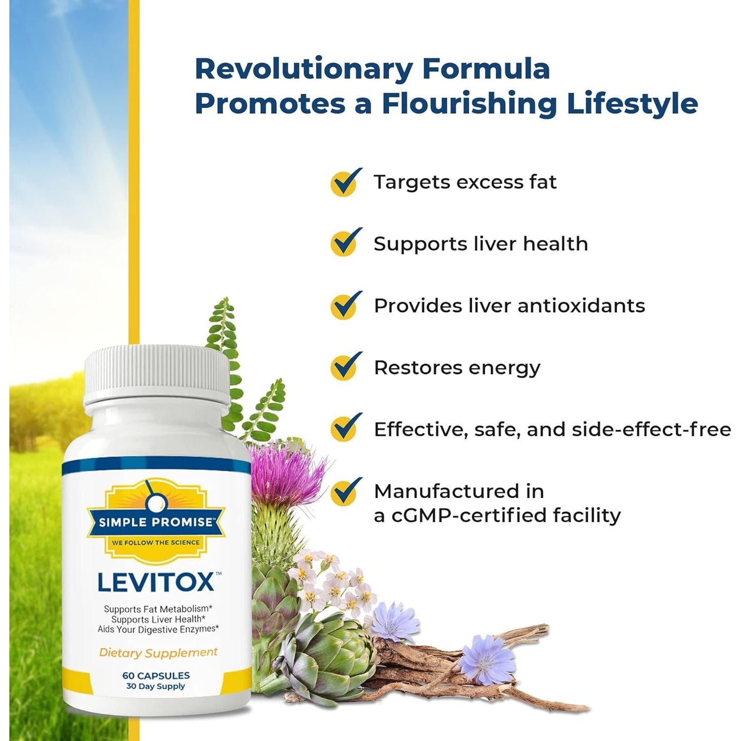 Simple Promise - Levitox - Groundbreaking Weight and Liver Support - Aids Digestive Enzymes, 60 Capsules