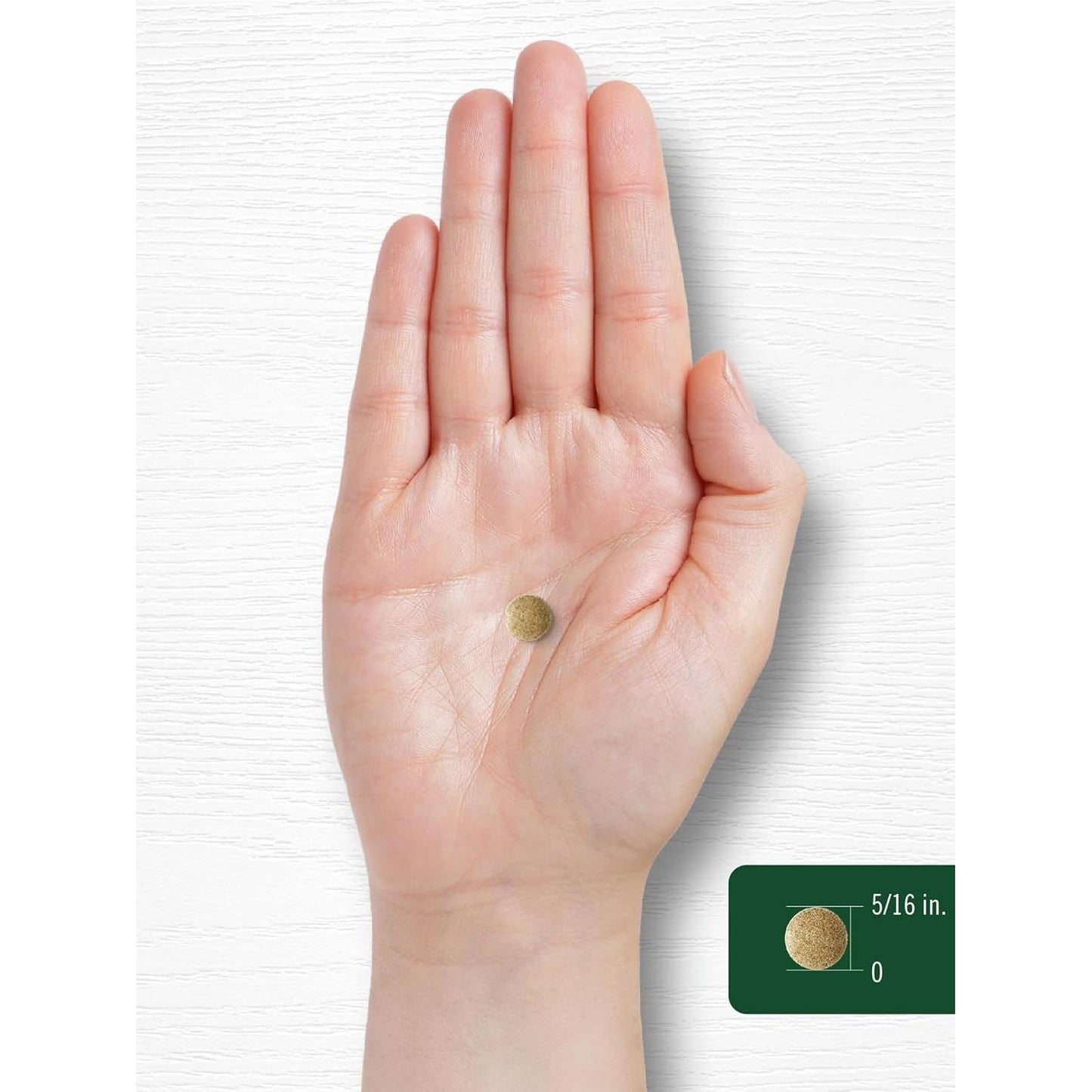 Carlyle Ginkgo Biloba 3000Mg | 400 Tablets | Non-Gmo, Gluten Free Herbal Supplement