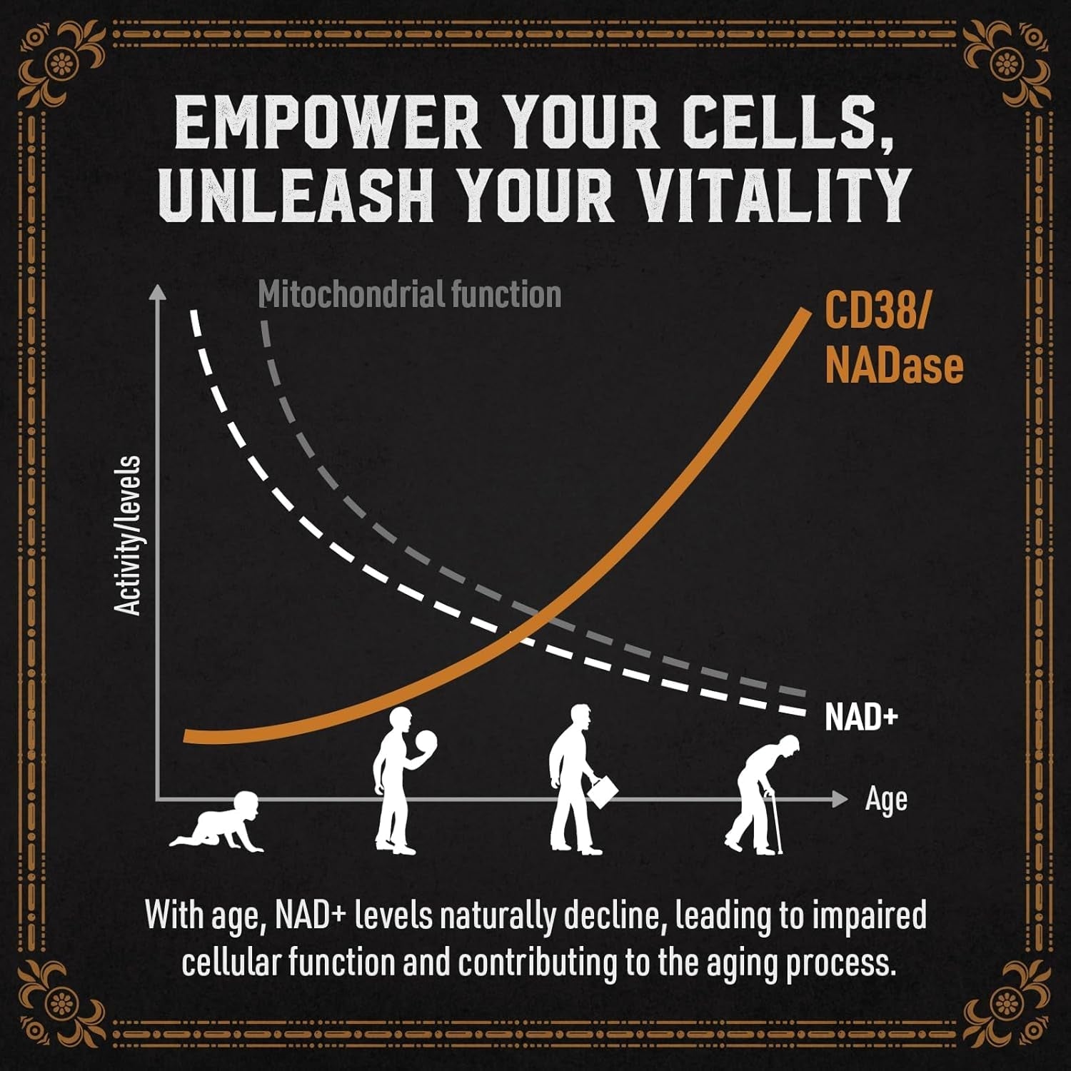 1800 MG Liposomal NAD Supplement for Energy Booster & Cellular Repair 60 Softgels