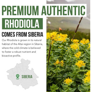 Max Strength Siberian Rhodiola – Helps Support Stress, Energy & Focus (60 Capsules)