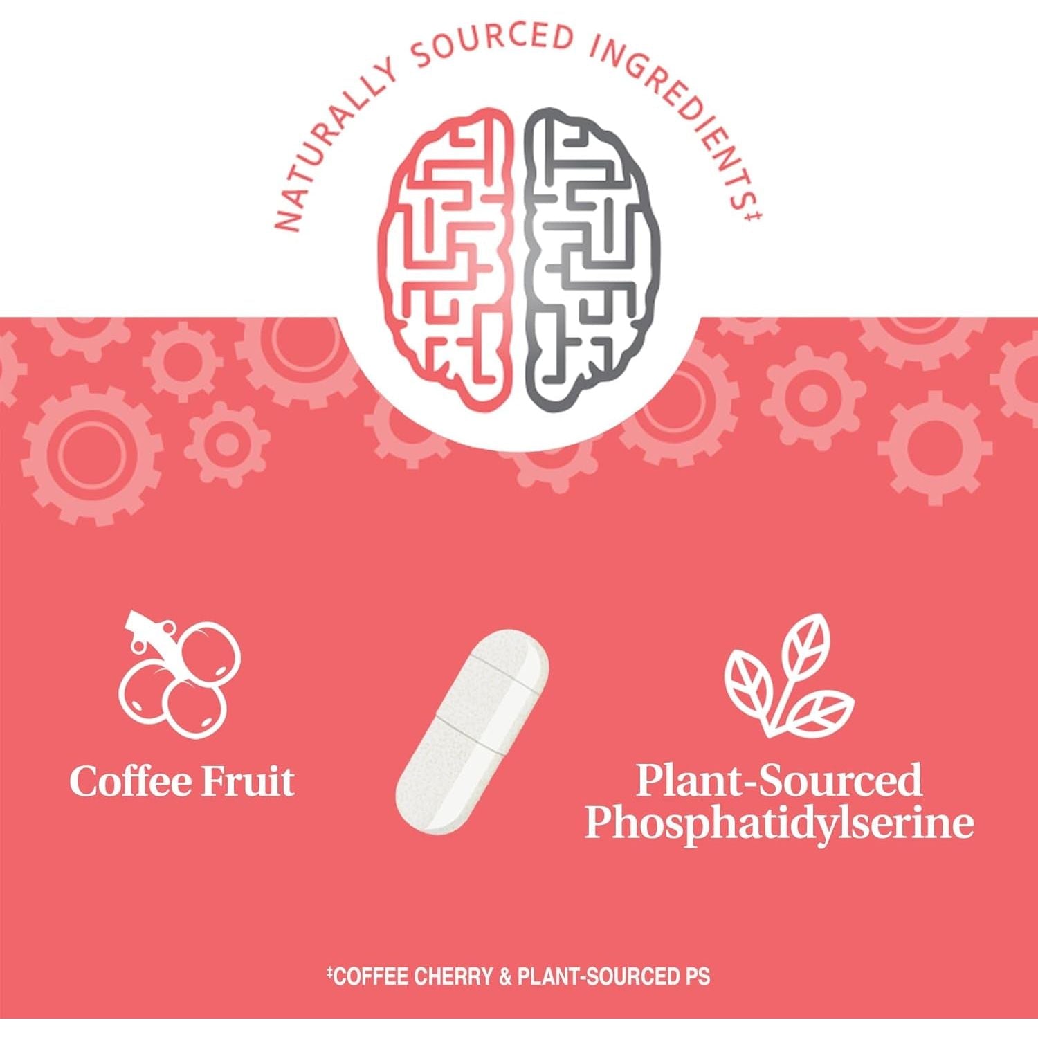 21St Century Brilliant Brain Performance, 30 Count