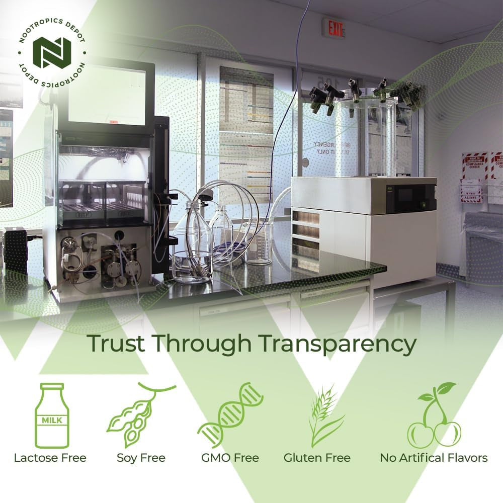 Nootropics Depot Ginkgo Biloba Extract Tablets | 120Mg | 90 Count 