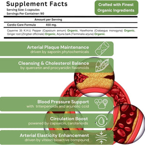 Artery Plaque Removal Formula to Support Blood Pressure, Healthy Cholesterol, and Heart Rhythm | 90 Capsules | by Sana Herbal