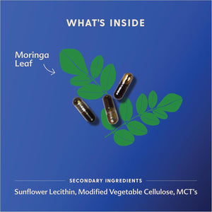 Motherlove Moringa Lactation Supplement to Support Breast Milk Supply (60 Liquid Caps)