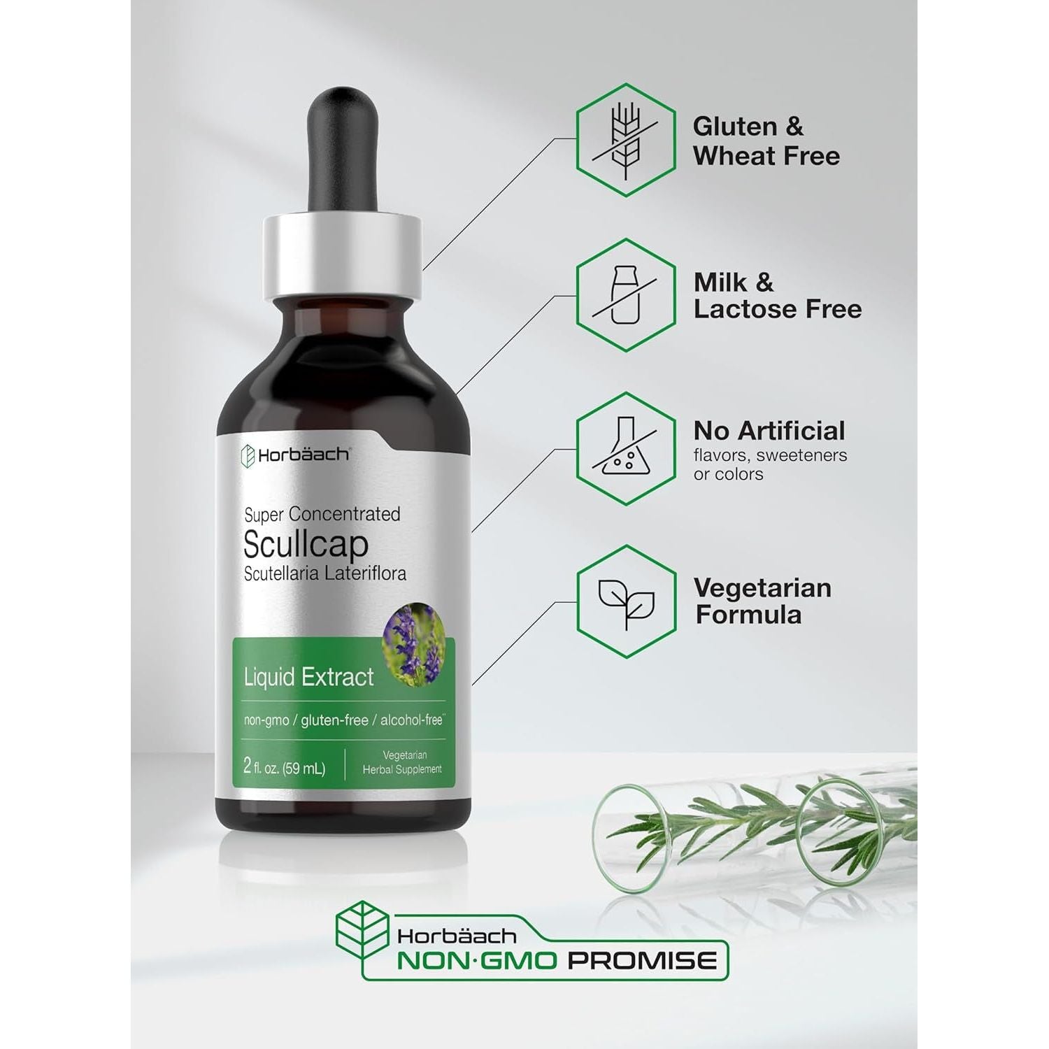 Horbäach Scullcap Herb Liquid Extract | 2 Fl Oz Tincture