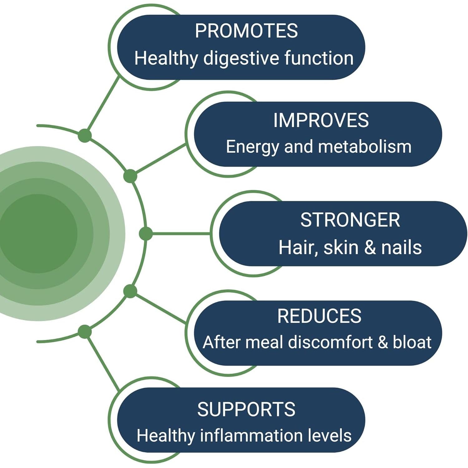 HCL Guard+ | Promotes Healthy Digestive Function | Betaine Hydrochloride, Organic Ginger Root, DGL, and Pepsin | 60 Servings