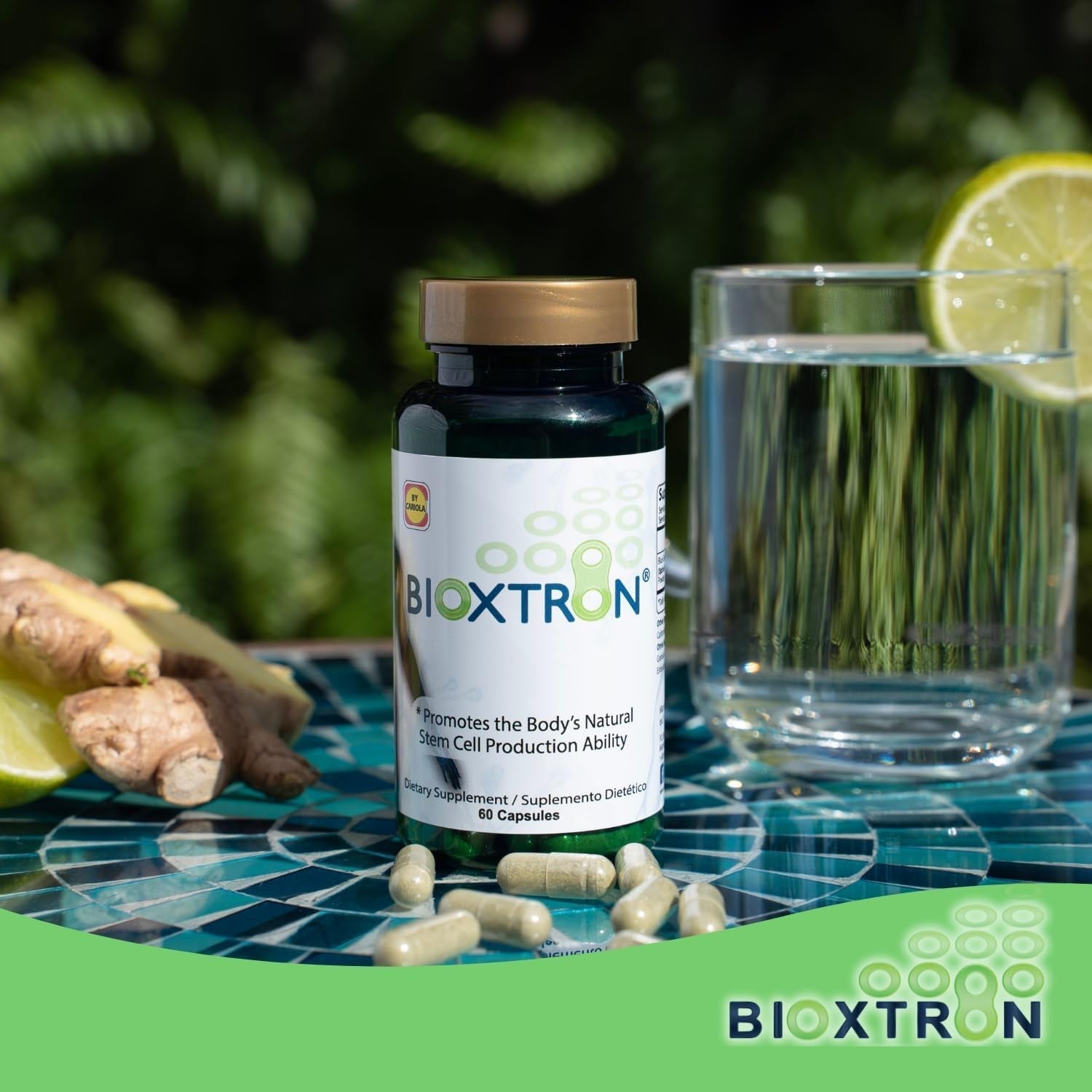 Bioxtron Natural AFA Stem Cell Supplement - Support Joints & Muscles - Immune System Support - Support Energy Levels - Natural Blue Green Algae Spirulina - 60 Caps