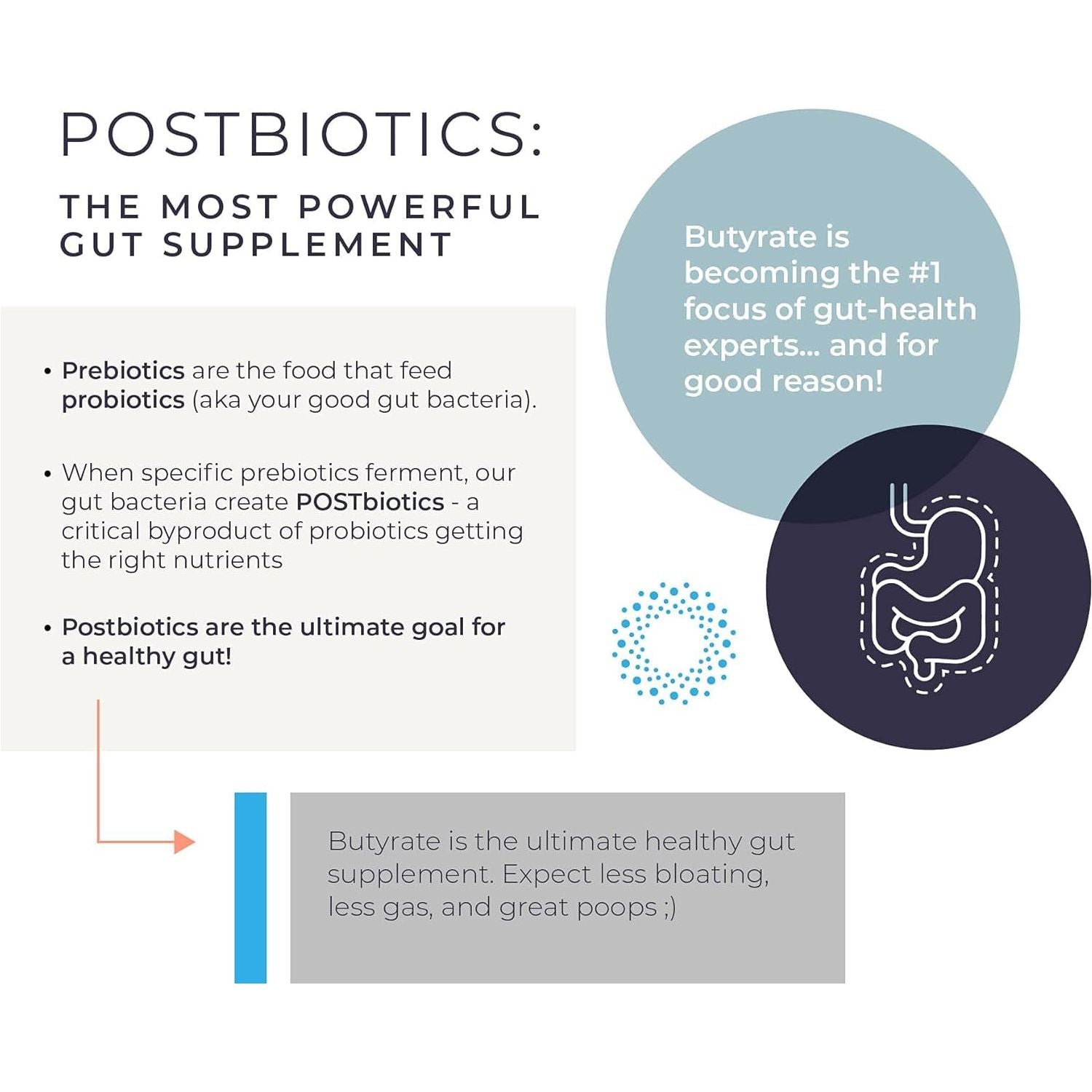 Bodybio Gut Health Supplement 60 Caps - Supports Healthy Digestion | Leaky Gut Repair | No Additives