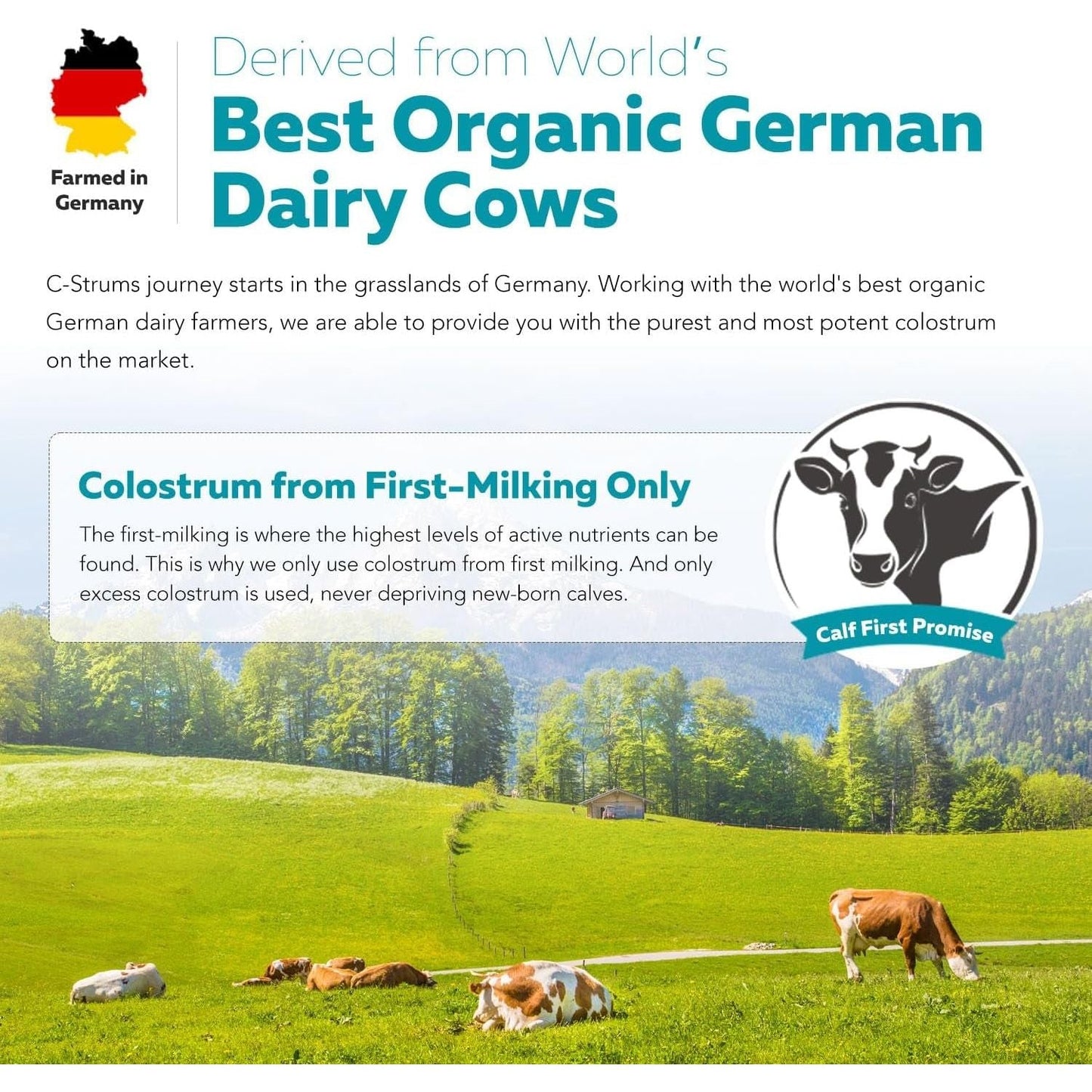 C-Strum® Organic Bovine Colostrum Powder, 60% Igg - Gut, Immunity, Skin & Hair Support (60 Servings)