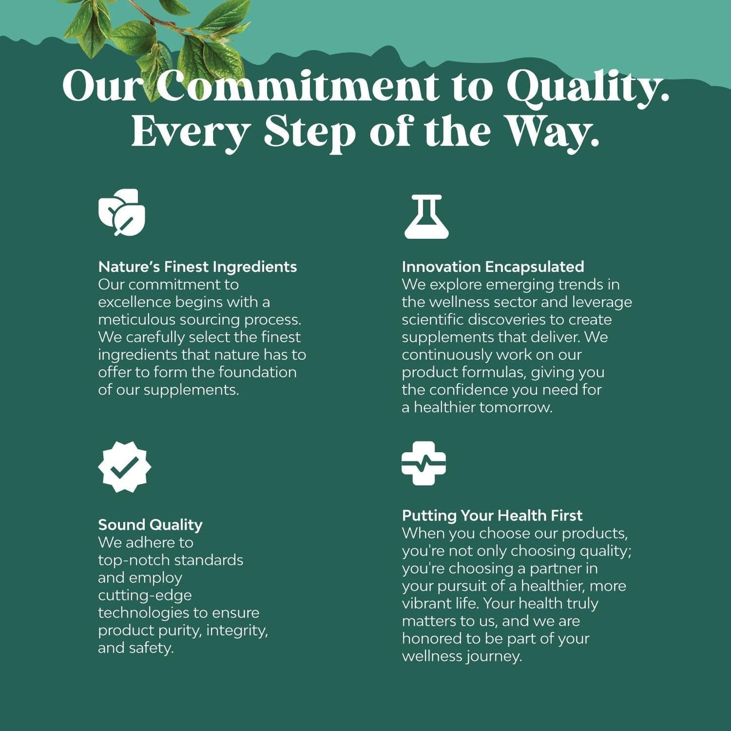 Advanced Brain Supplement for Memory and Focus - Nootropics Brain Support Supplement for Adults of All Ages