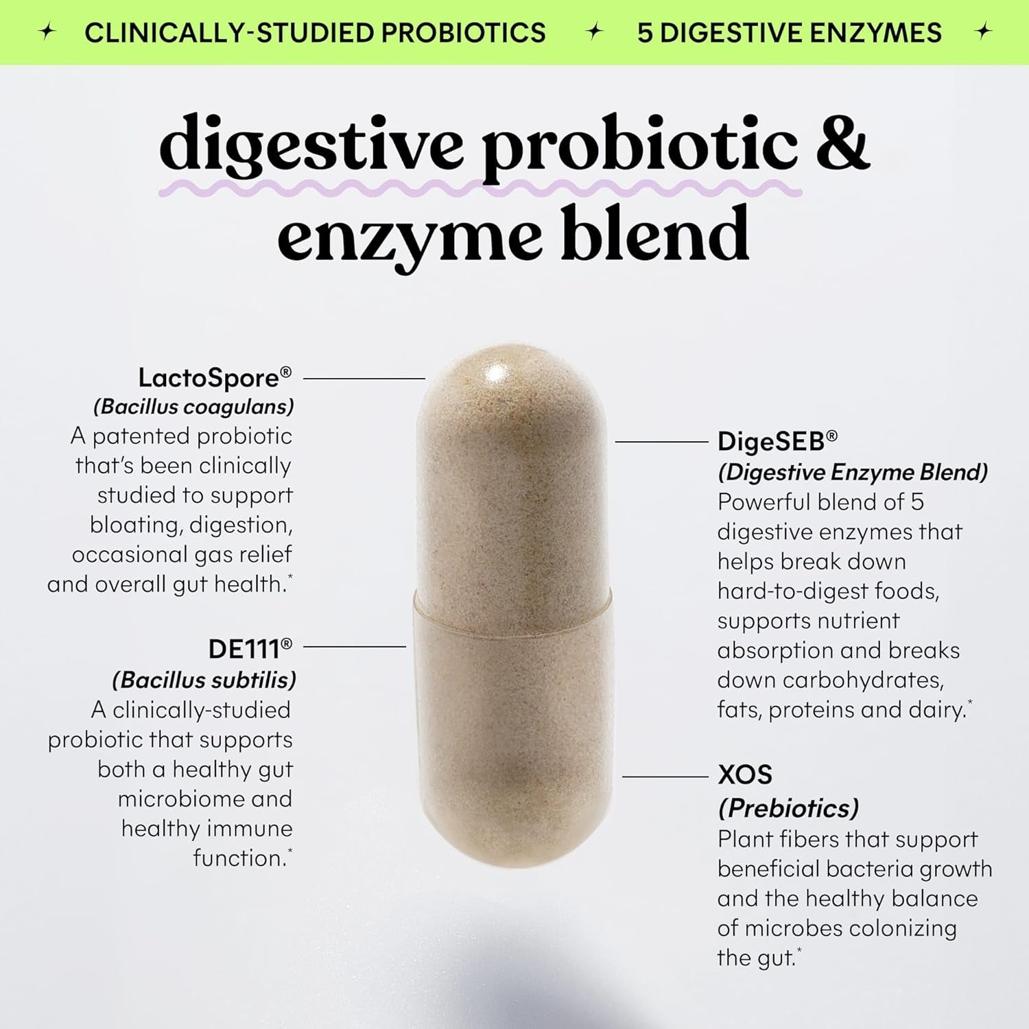 Lemme Debloat 3-In-1 Prebiotic, Probiotic & Digestive Enzyme Capsules for Bloating & Gas Relief 60 Count