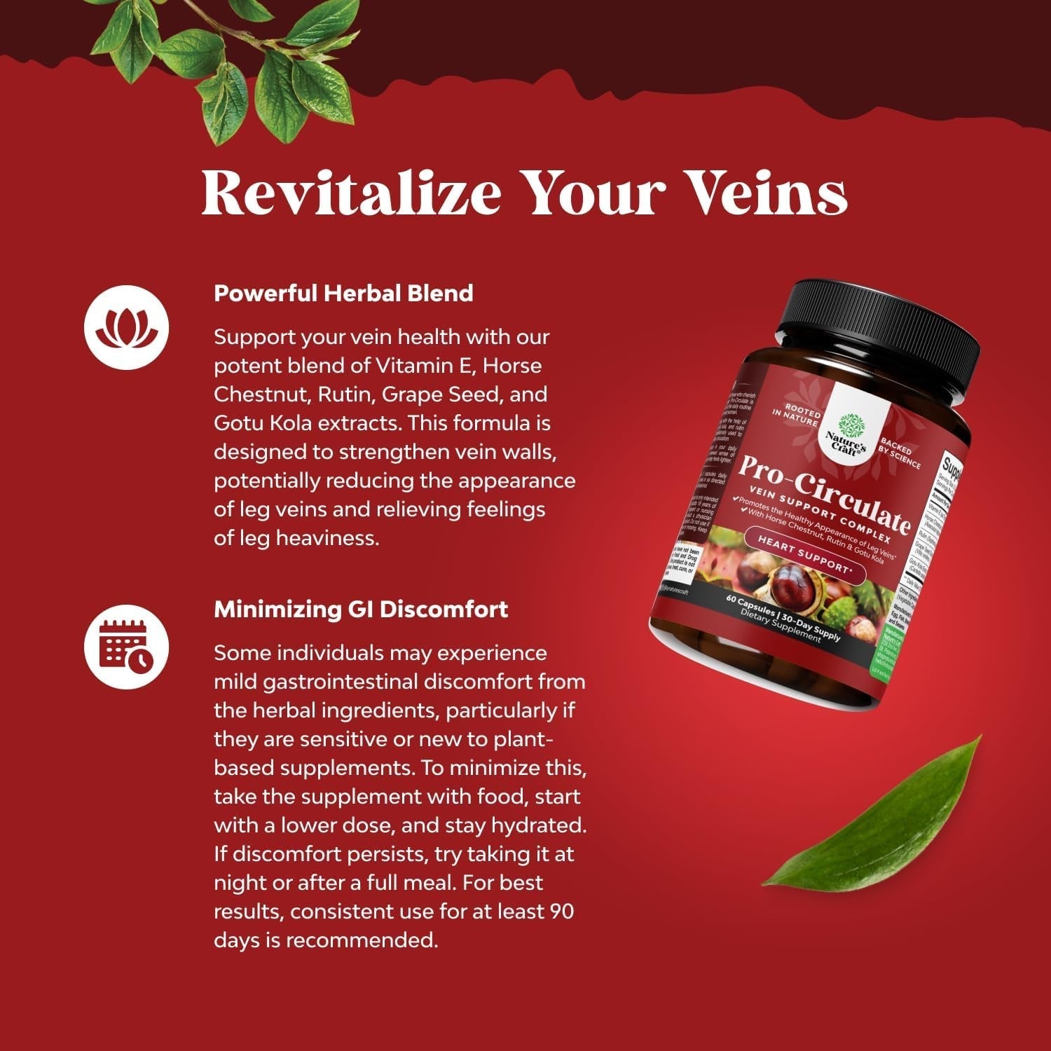 Vein Support Supplements for Spider & Varicose Veins and Improved Flow (1 Month Supply)