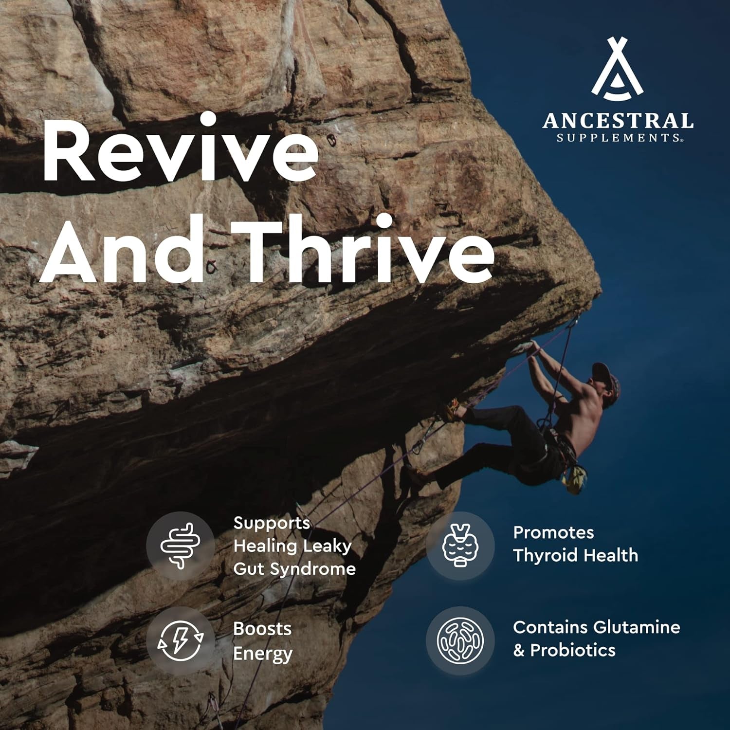 Ancestral Supplements Grass Fed Beef Intestines with Stomach (Tripe), 3000Mg Supports Acid Reflux and Gut, Intestine and Digestive Health 180 Capsules