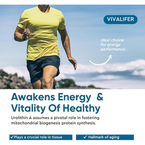 Urolithin a Supplement 2000 Mg - Promoting Healthy Aging & Mitochondrial Health and Cell Repair Support 120 Capsules