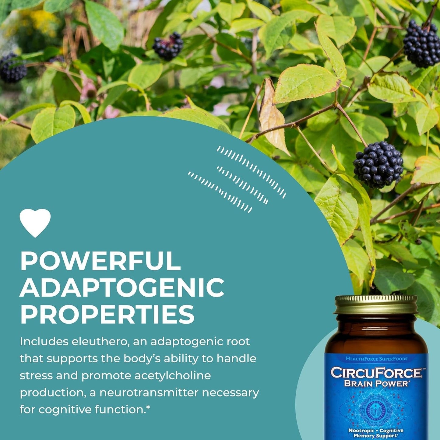 Healthforce Superfoods Circuforce Brain Power - 90 Vegancaps