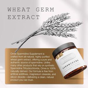 OMRE Spermidine Supplement 10Mg- 3Rd-Party Tested 1000Mg Wheat Germ Extract Standardized to No Less than 1% Spermidine