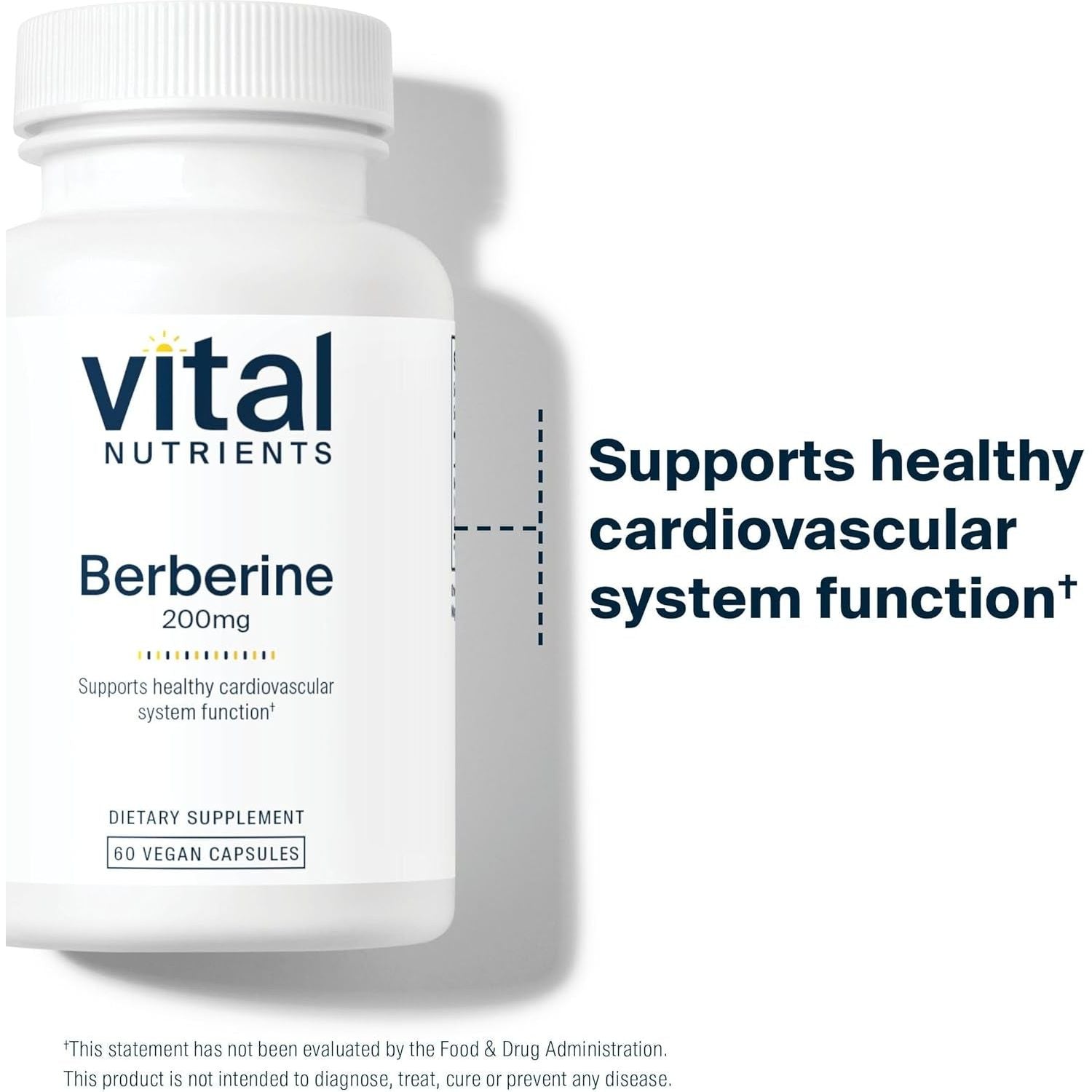 Vital Nutrients Berberine | Supports Healthy Bowel Function and Normal Triglyceride Levels 200 Mg | 60 Capsules