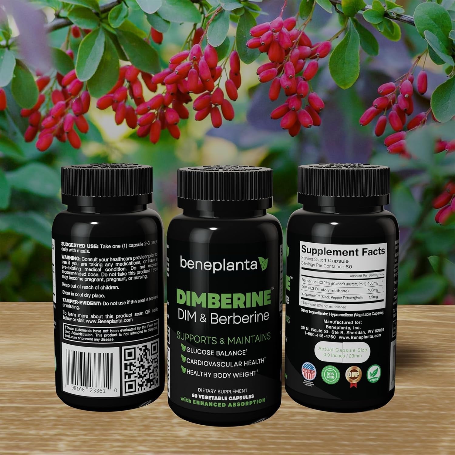 DIM & Berberine, High Purity Enhanced Absorption Formula - 60 Capsules