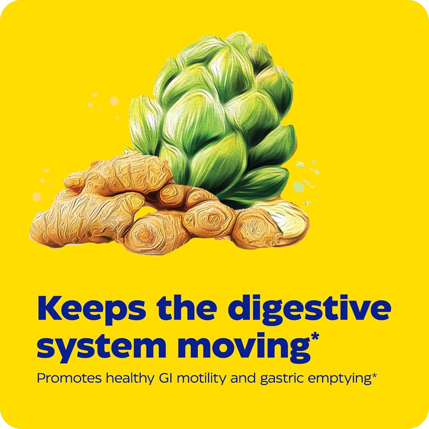 Enzymedica, Gut Motility, Promotes Regular, Healthy Bowel Movements, Reduces Occasional Bloating & Constipation, 30 Count
