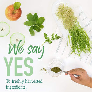 Garden of Life Raw Organic Perfect Food Energizer Juiced Green Superfood Powder 30 Servings, 9.73 Oz