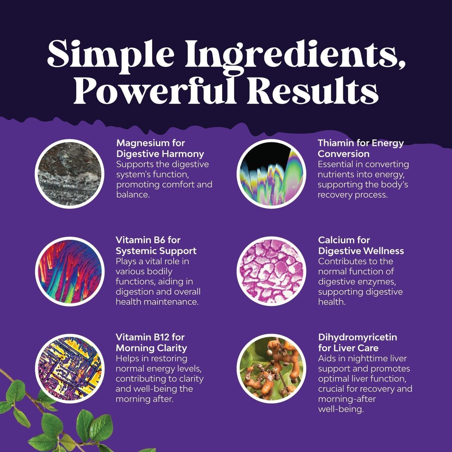 Nighttime Liver Detox & Hydration Pills - Pre and Post Drinking Recovery Liver Support Supplement (60 Capsules)