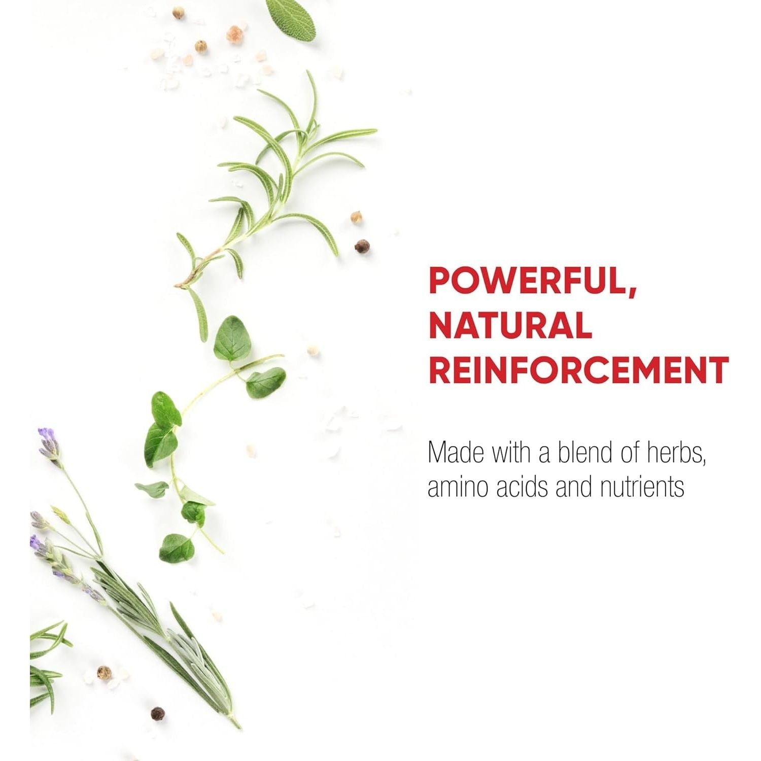 Redd Remedies, Nerve Shield, Supports Healthy Nerve Structure and Circulation, 120 Vegan Capsules