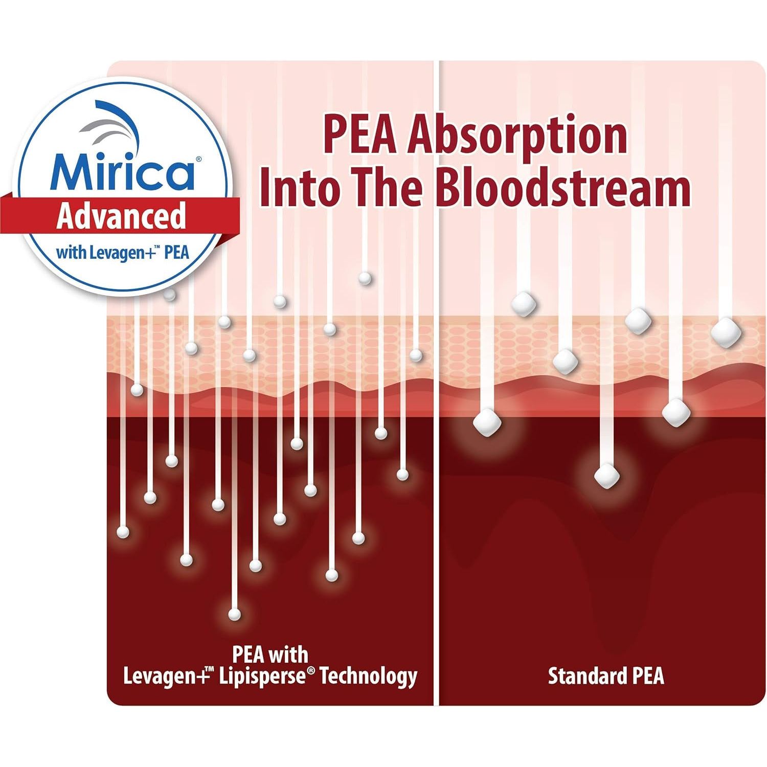Mirica Advanced - High Absorption Formula, Palmitoylethanolamide (Pea) Luteolin and Polydatin, Nervous System Support Capsule, 60Ct