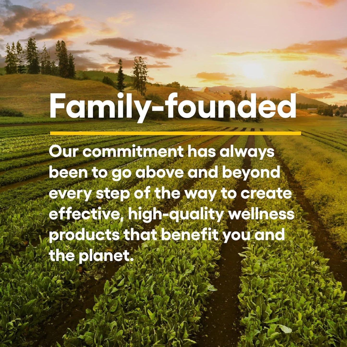 Stress-Relax Chewable Pharma GABA 100 Mg by Natural Factors, Non-Drowsy Stress Support for Relaxation and Mental Focus 120 Tablets