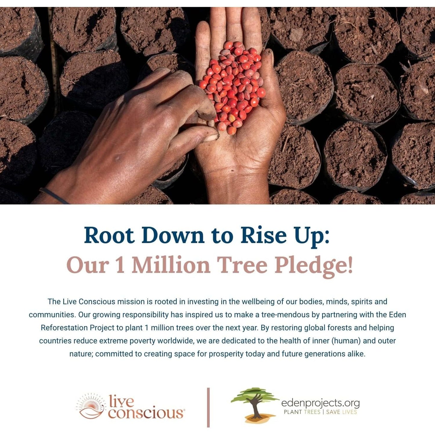 Liverwell Liver Cleanse, Rejuvenation, Metabolic Support - 60 Caps