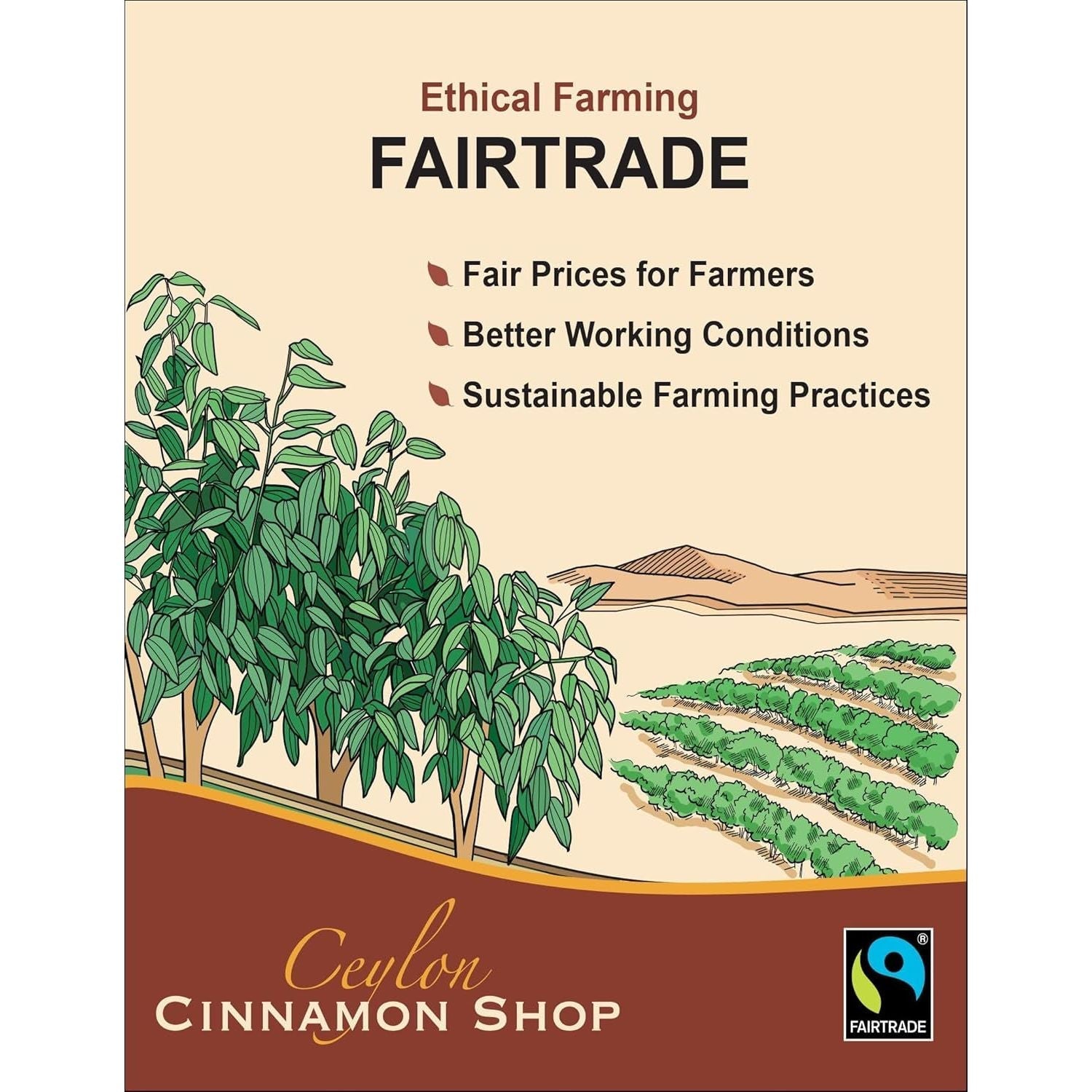 Cinnagold™ Organic Ceylon Cinnamon (100% Certified) Supplement, High-Potency Liquid Extract, 4 Oz. – Super Antioxidant