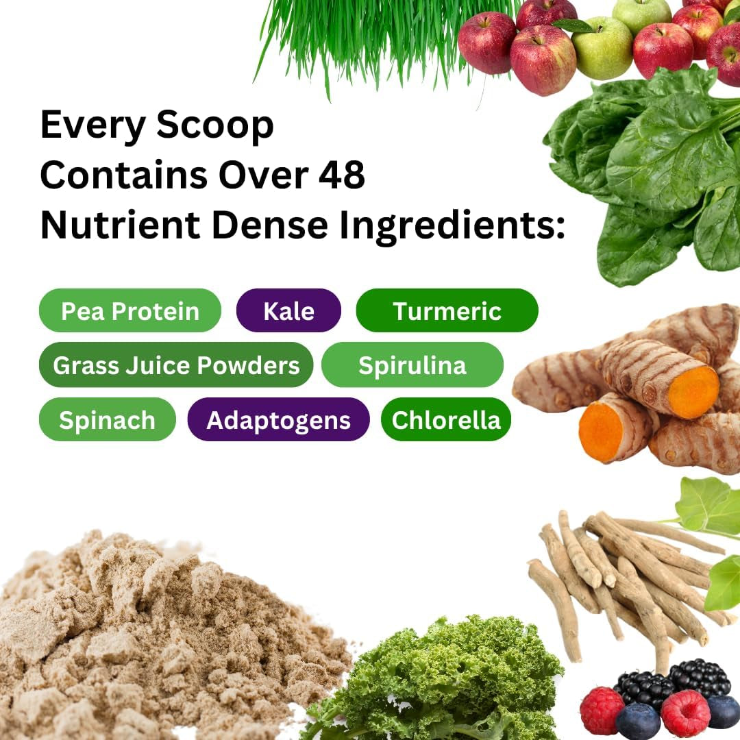 Paradise Herbs ORAC Energy Protein & Greens Powder, Antioxidant Power of 24 Servings