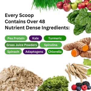 Paradise Herbs ORAC Energy Protein & Greens Powder, Antioxidant Power of 24 Servings