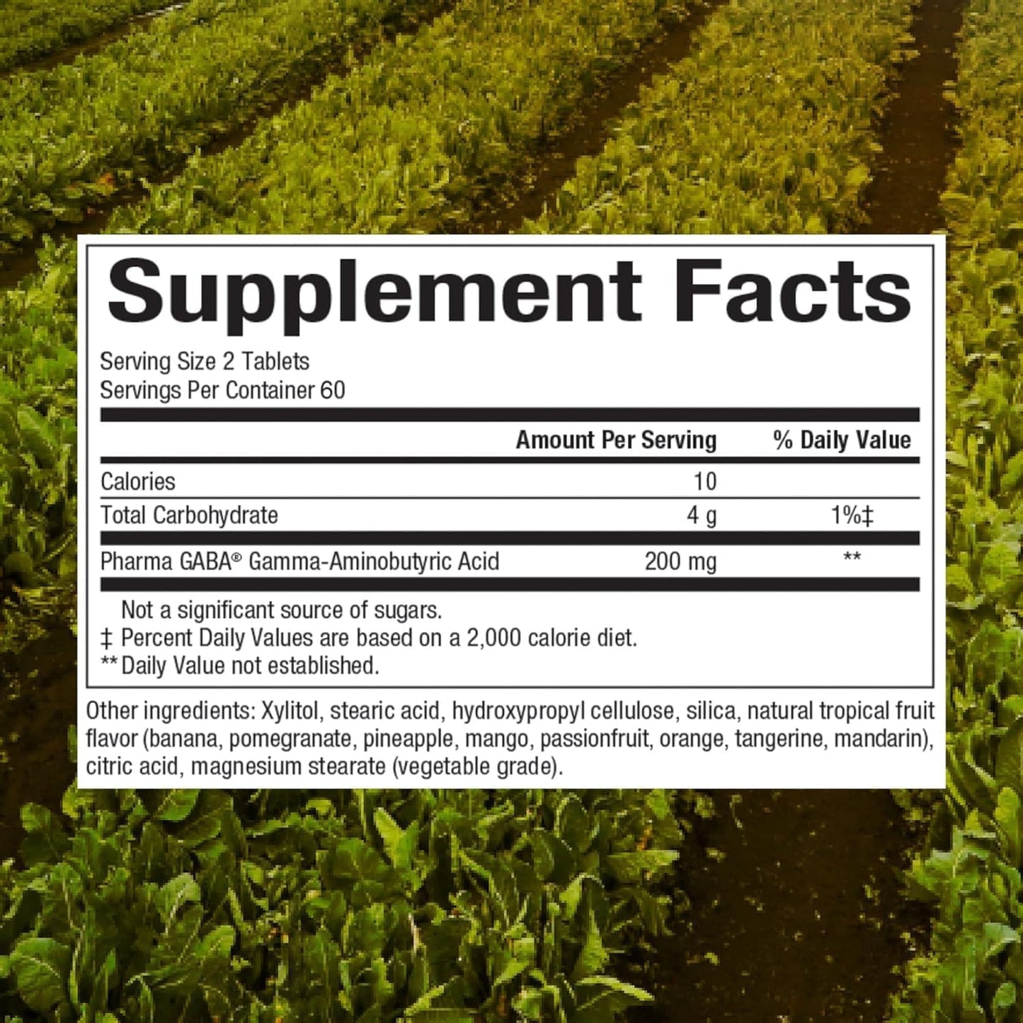 Stress-Relax Chewable Pharma GABA 100 Mg by Natural Factors, Non-Drowsy Stress Support for Relaxation and Mental Focus 120 Tablets