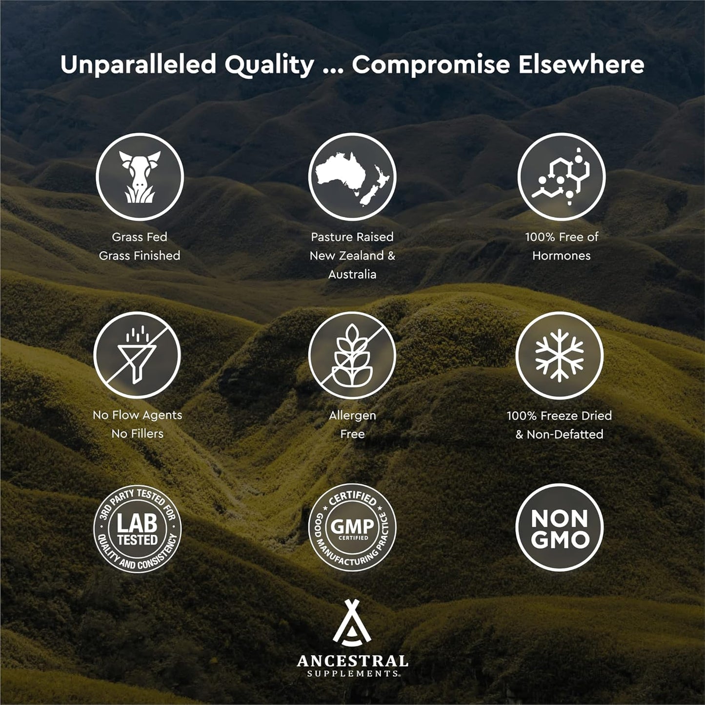 Ancestral Supplements Grass Fed Beef Brain Supplement Promotes Brain, Mood, and Memory Health 180 Capsules